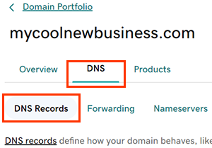 The DNS and DNS Records tabs in GoDaddy domain settings.