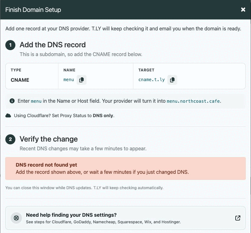 T.LY custom-domain setup showing the exact CNAME record and copy buttons for a pending subdomain.