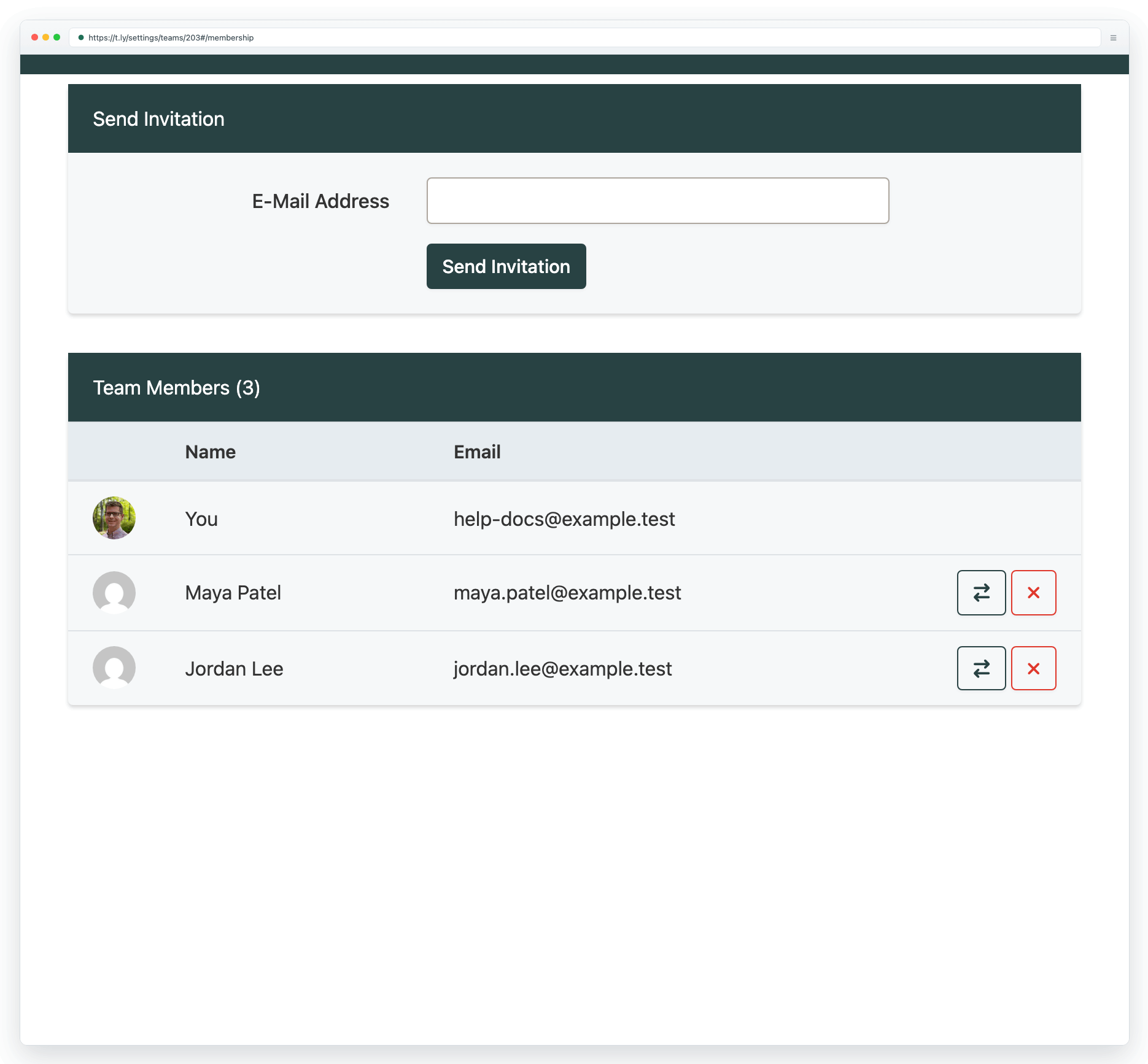 Team members settings showing the shared team workspace and invited collaborators for a demo account.