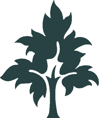 T.LY tree logo green